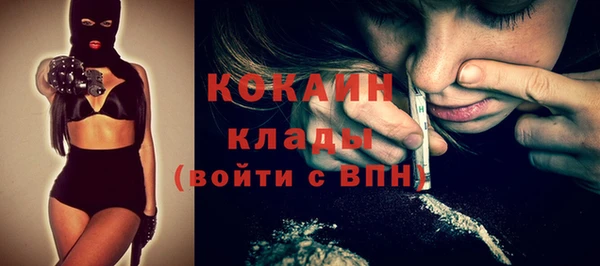 PSILOCYBIN Каменка