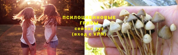 соль ск Каменск-Шахтинский