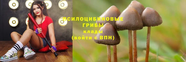PSILOCYBIN Каменка