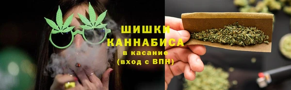 PSILOCYBIN Каменка