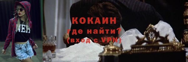 PSILOCYBIN Каменка