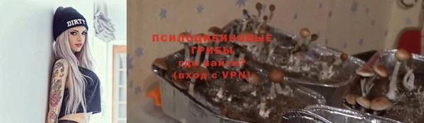 соль ск Каменск-Шахтинский