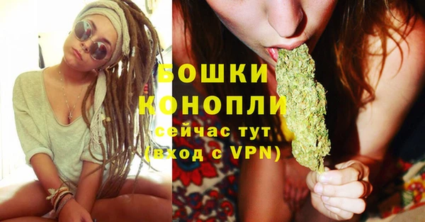 PSILOCYBIN Каменка