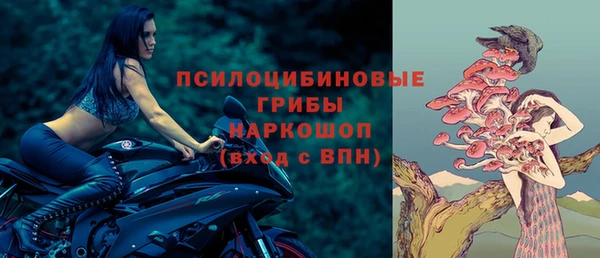 PSILOCYBIN Каменка
