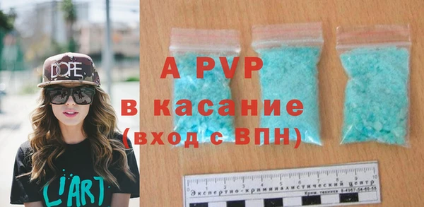 PSILOCYBIN Каменка